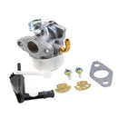 Carburetor for Briggs & Stratton 798653, 697354, 790290, 791077, 698860