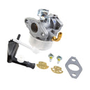 Carburetor for Briggs & Stratton 798653, 697354, 790290, 791077, 698860