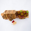 Wooden Cartoon Train Shape Pot Flower Succulent Planter Garden Outdoor Decor