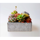 Wooden Engraved Floral Pot Flower Succulents Planter Garden Outdoor Decor