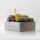 Wooden Engraved Floral Pot Flower Succulents Planter Garden Outdoor Decor