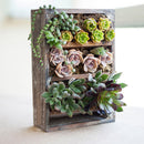 Wooden Three Layers Shelf Pot Flower Succulent Planter Garden Hanging Decor