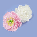 4pcs Cookies Cutter Paste Peony Mold Pastry Tool Biscuit Baking Cake Topper