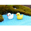 10pc/ Set Duck Miniature Kids Children Small Duck Toy Resin Model Bonsai Pot