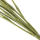 2 Piece Artificial Real Touch Taro Leaves Plant Foliage Garden Decor Green