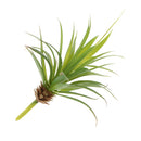 Artificial Succulent Real Touch Gladiolus Foliage Plant Garden Decor S Green
