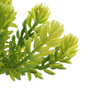 Artificial Succulent Real Touch 6-Head Lotus Foliage Plant Decor Green