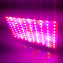 100x3W Garden Greenhouse Hydroponic Grow Light LED Full Spectrum Light for Indoor Plant Weed Vegetable Fruit