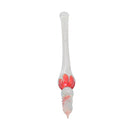 DIP PEN CRYSTAL GLASS for Writing Beautiful Gift for Christmas Graduation Red