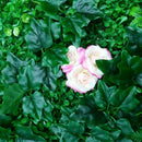 Synthetic Artificial Grass Mat Turf Lawn Garden Landscape Ornament 40x60cm