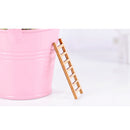 10 Pieces Micro Landscape Decor Wooden Ladder Ornament Garden DIY Crafts
