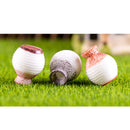 Miniature Delicate Vase Plant Landscape Micro Landschaft Bonsai Garden Decor