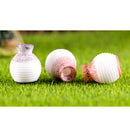 Miniature Delicate Vase Plant Landscape Micro Landschaft Bonsai Garden Decor