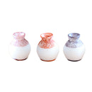 Miniature Delicate Vase Plant Landscape Micro Landschaft Bonsai Garden Decor