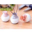 Miniature Delicate Vase Plant Landscape Micro Landschaft Bonsai Garden Decor