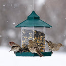 Green Seed Wild Bird Feeder Wild Bird Feeder Hanging Seed Feed Outdoor Garden Wildlife Squirrel Proof