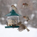 Green Seed Wild Bird Feeder Wild Bird Feeder Hanging Seed Feed Outdoor Garden Wildlife Squirrel Proof