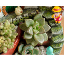 Cute Garden Stair Flowerpot Resin Succulent Planter Desk Ornament