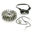 Flywheel & Ignition Coil with Wires & Spark Plug for Husqvarna 340, 345, 346, 346XP, 350, 351, 353, 357, 357xp, 359, 362, 365, 365 Chainsaw