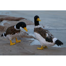 Home Artificial Duck Turning Back Fur Drake Imitation Animal Garden Decor