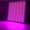 120W 1365 LED Plant Grow Light Full Spectrum Greenhouse Indoor Hydroponic