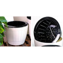 Self Watering Grow Outdoor Indoor Window Sill Garden. Perfect for Potting Smaller House Plants, Herbs, African Violets, Succulents, Flowers or Start Seedlings