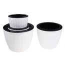 Self Watering Grow Outdoor Indoor Window Sill Garden. Perfect for Potting Smaller House Plants, Herbs, African Violets, Succulents, Flowers or Start Seedlings