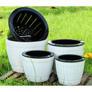 Self Watering Grow Outdoor Indoor Window Sill Garden. Perfect for Potting Smaller House Plants, Herbs, African Violets, Succulents, Flowers or Start Seedlings