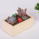 Wooden Succulent Plant Flower Bed Pot Through Box Garden Planter 15x9x6cm