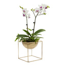 Metal Flower Pot with Stand Garden Plant Metal Iron Planter Home Decor