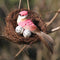 2pcs Handcrafted Rattan Bird Nest Birdhouse
