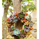 26cm Iron Wire Wreath Frame Succulent Pot Metal Hanging Planter Plant Holder