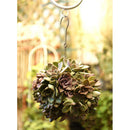 15cm Retro Iron Ball Shape Succulent Pot Metal Hanging Planter Plant Holder