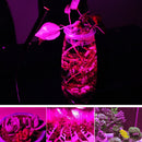 COB LED Grow Light Chips for Indoor Plant Veg and Flower , Full Spectrum 380nm -840nm Plant Led Beads 15W