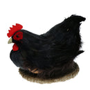 Realistic Lifelike Feather Hen With Egg Figurine Spring Decor Furry Animal