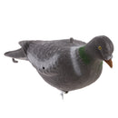 Realistic Flying Pigeon with Rotary Wings Full Body Decoy Hunting Shooting