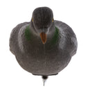 Realistic Flying Pigeon with Rotary Wings Full Body Decoy Hunting Shooting