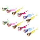 12pcs Magpie Lifelike Artificial Feathered Foam Bird for Displays, Crafting and More