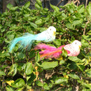 12pcs Bird Realistic Feathered Artificial Craft Animal Home Garden Decor Gift