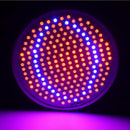 20W 200 LED Plant Grow Light Lamp Bulbs Flexible Desk Holder Clip for Indoor Succulent Plants, Flowers, Herbs, Vegetables, Fruits