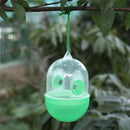 Yellow Jackets Trap Wasp Hornets And Bees Trap Natural Non-toxic Bee Catcher