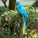 Artificial Feather Blue Birds Parrot Craft Taxidermy Home Art Decor Ornament
