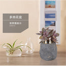 Durable Herb Flower Cactus Succulent Plant Planter Resin Pot Box Container
