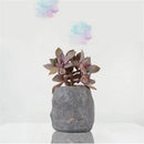 Durable Herb Flower Cactus Succulent Plant Planter Resin Pot Box Container