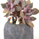 Durable Herb Flower Cactus Succulent Plant Planter Resin Pot Box Container