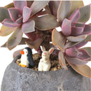 Durable Herb Flower Cactus Succulent Plant Planter Resin Pot Box Container