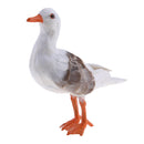 Realistic Seagull Bird Home Garden Decoration Artificial Feathered