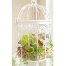Iron Birdcage Frame Wire Succulent Pot Metal Planter Iron Plant Basket 7.5cm