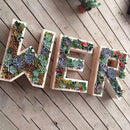 Iron Wire Wreath Frame Succulent Pot Metal Planter Plant Holder Art Number 4