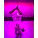 5W Adjustable Dual Head LED Grow Light Plant Grow Lamp For Plants EU Plug